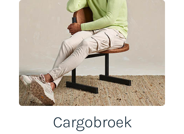 Cargobroek